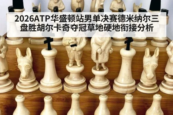 2026ATP华盛顿站男单决赛德米纳尔三盘胜胡尔卡奇夺冠草地硬地衔接分析
