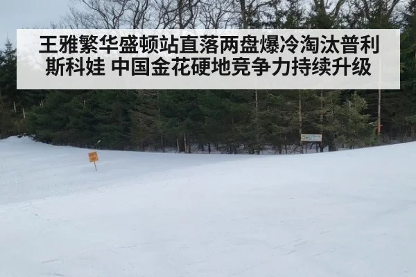 王雅繁华盛顿站直落两盘爆冷淘汰普利斯科娃 中国金花硬地竞争力持续升级